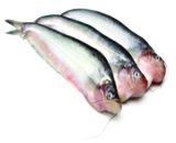 Pabda Fish(15-20Pcs/Kg) ±30 gm