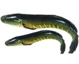 Shoal Fish 800gm/Pc ± 30gm