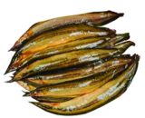 Bain Fish Long Big