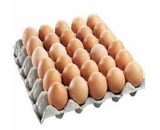 Eggs (Chicken Eggs Layer) 30 Pcs