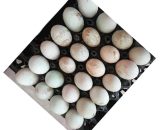 Eggs (Duck Eggs)  12 Pcs