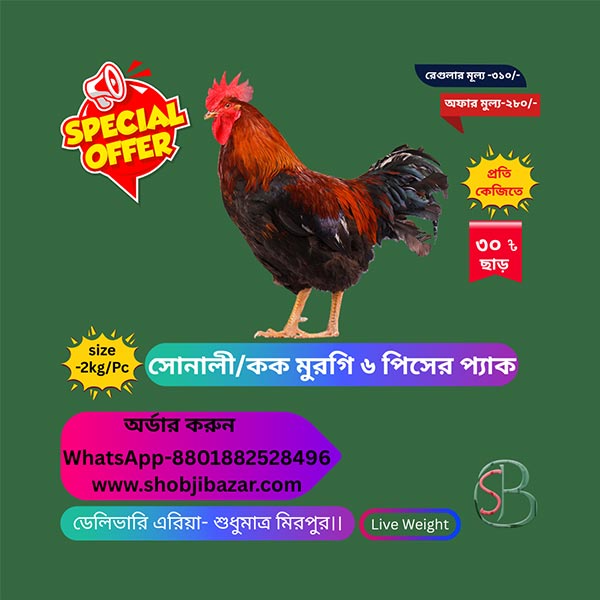 সোনালী বা কক মুরগি ৬ পিসের প্যাক (লাইভ ওয়েট অনুযায়ী বিল) প্রতি পিস - ২কেজি/পিস