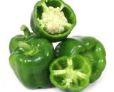 Hybrid Green Capsicum, Packaging