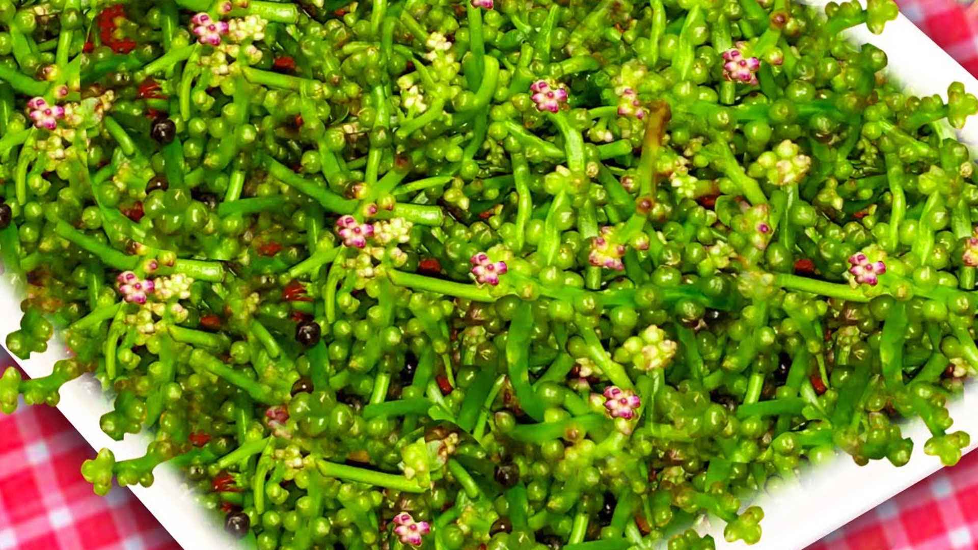 পুই ফল