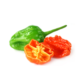 Bombay Chilli